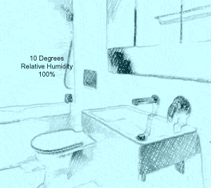 Relative Humidity Bathroom